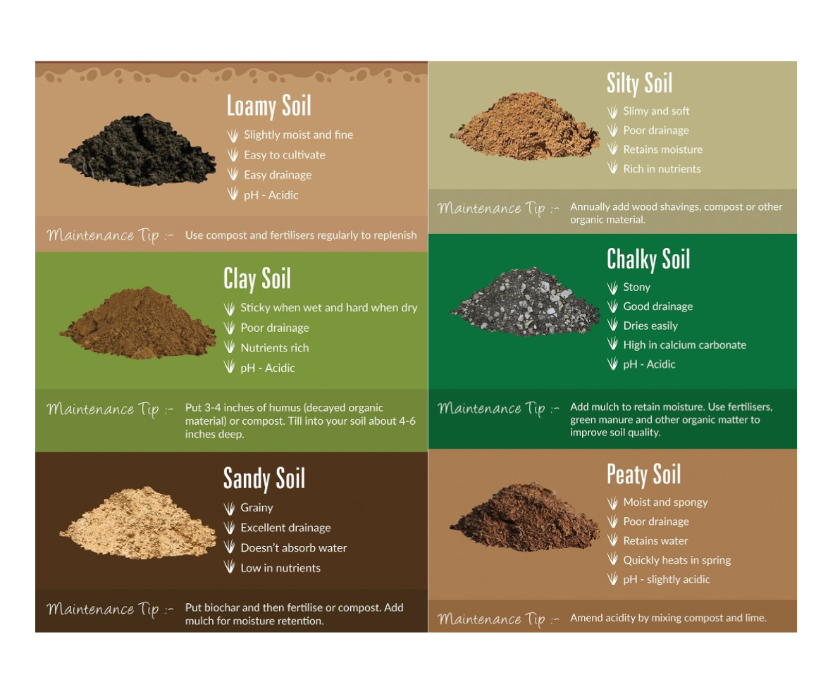 PWC Realty - Soil COndition
