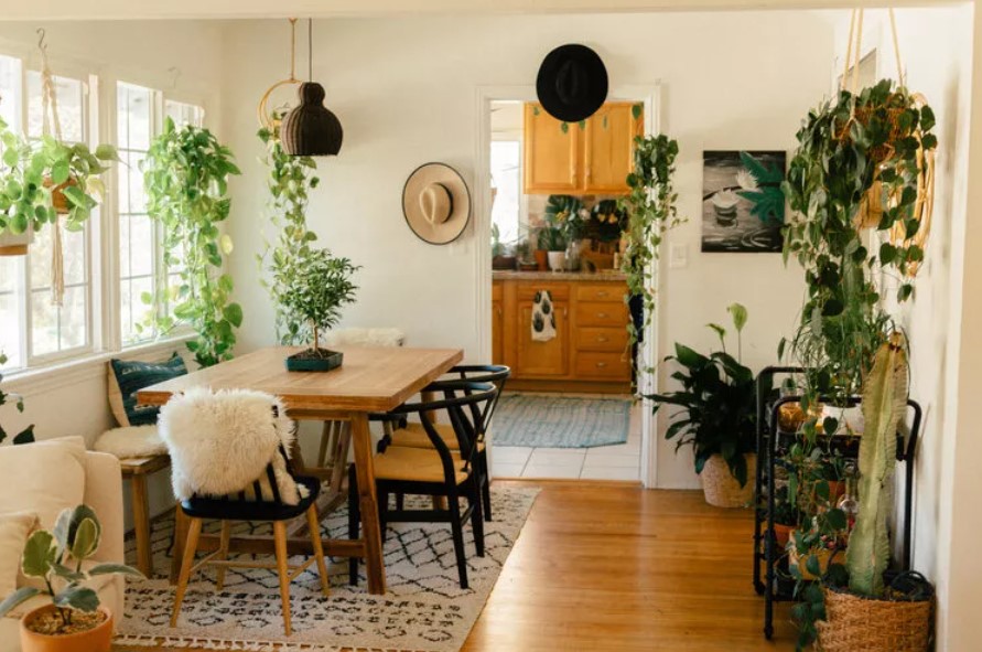 trailing plants