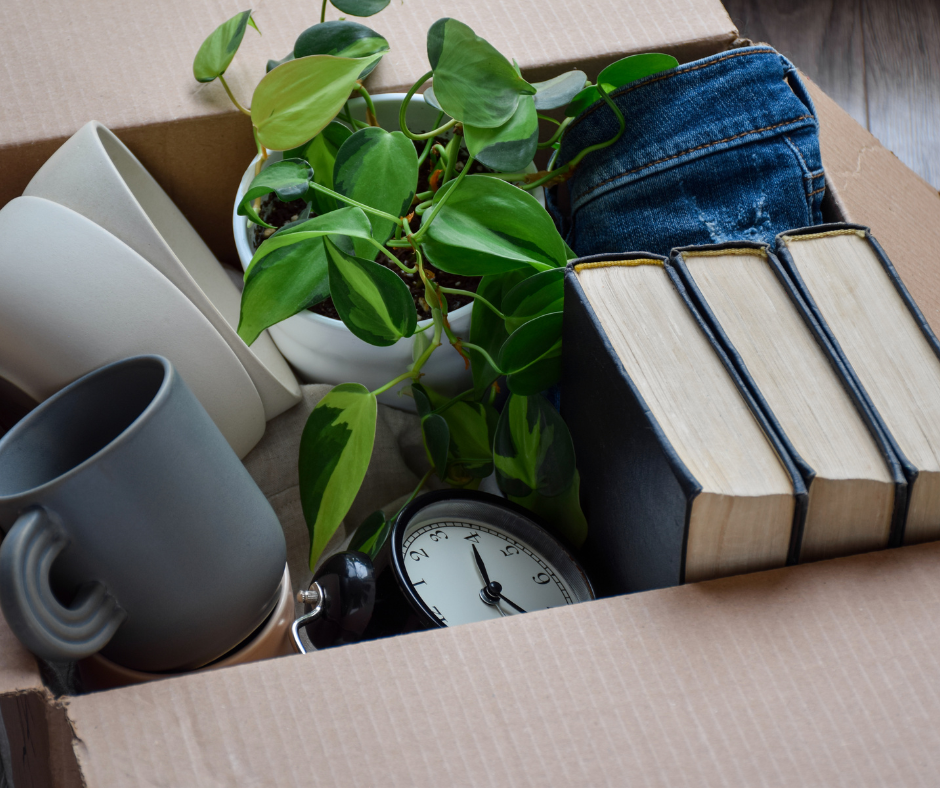 Reasons to Start Decluttering and Downsizing in 2024