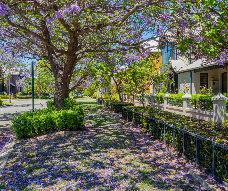 6 Finest Suburbs to live in Perth this 2024 1 Subiaco